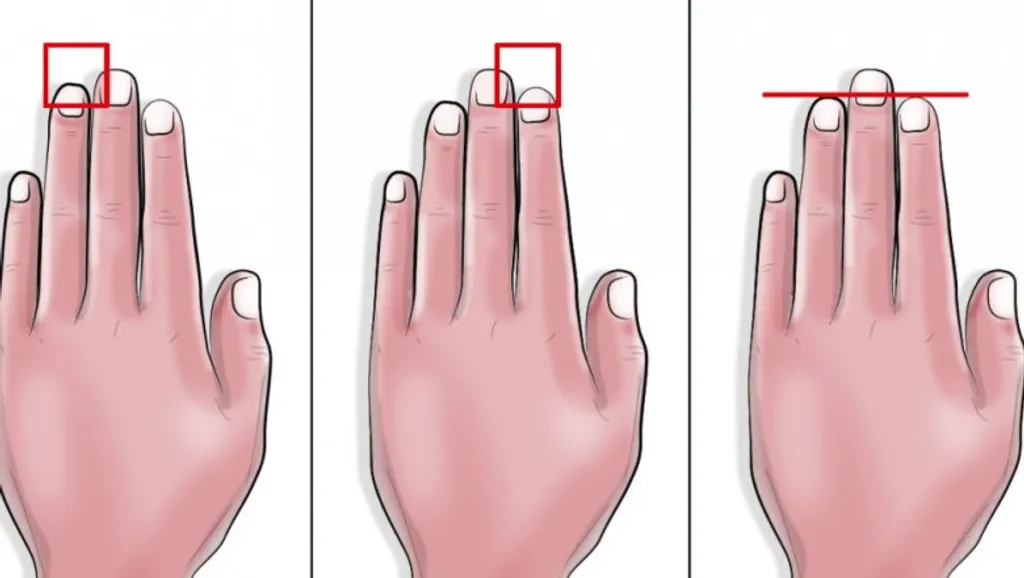 What Your Finger Length Says About You