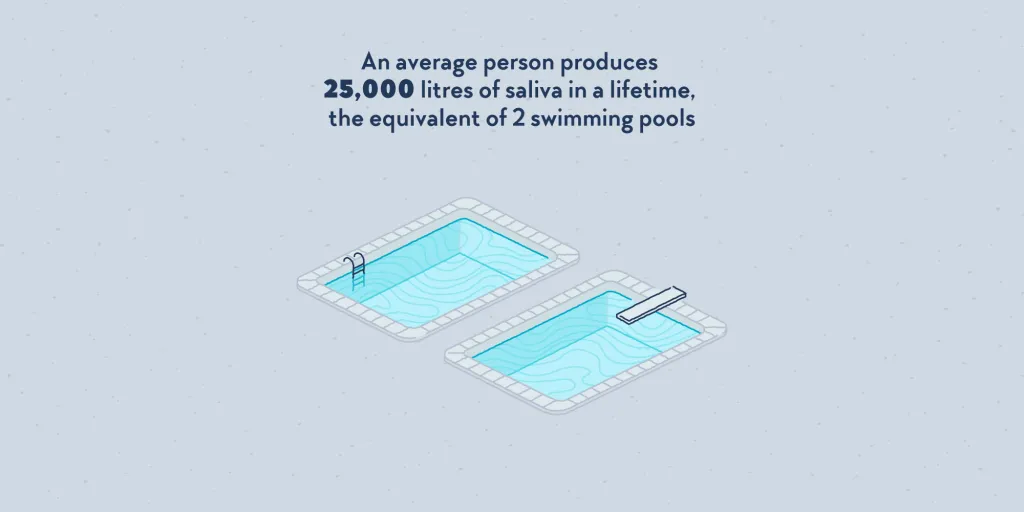 You Produce Enough Saliva to Fill Two Pools